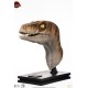 Jurassic Park Life-Size Bust Male Velociraptor 75 cm