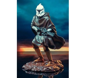 Star Wars: The Clone Wars Statue 1/7 Hawkbat Battalion Clone Trooper 2019 Premier Guild Membership Gift 25 cm