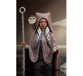 Star Wars: Rebels Bust 1/6 Ahsoka Tano Web Exclusive 15 cm