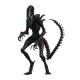 Alien: Romulus Movie Masterpiece Action Figure 1/6 Scorched Xenomorph 44 cm