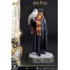 Harry Potter Prime Collectibles Statue 1/6 Harry Potter with Hedwig 28 cm