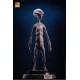 ECC's Elite Creature Line Statue Reptilian Grey Maquette by Steve Wang 61 cm