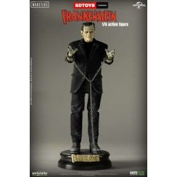 Frankenstein's Monster 1/6 Action Figure Standard Edition