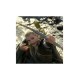 Lord of the Rings Mini Statue Legolas 16 cm