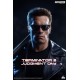 Terminator 2: T800 1:1 Scale Bust