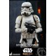 Star Wars The Mandalorian Action Figure 1/6 Remnant Stormtrooper 30 cm