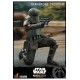 Star Wars The Mandalorian Action Figure 1/6 Transport Trooper 31 cm