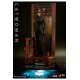 The Dark Knight Trilogy Movie Masterpiece Action Figure 1/6 Catwoman 29 cm