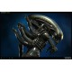 Alien Maquette Big Chap