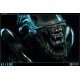 Aliens Alien Warrior Legendary Scale Bust 34cm