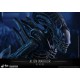 Aliens Movie Masterpiece Action Figure 1/6 Alien Warrior 35 cm