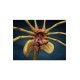 Aliens Replica 1/1 Facehugger 72 cm