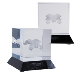 Batman The Dark Knight Rises Glass Etching The Bat