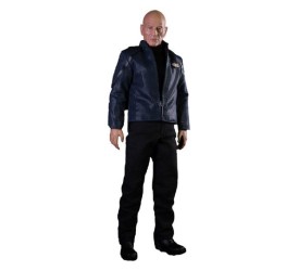 Star Trek: Picard Action Figure 1/6 Jean-Luc Picard 28 cm