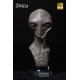 Elite Creature Collectibles The Grey 1/1 Scale Bust 53 cm
