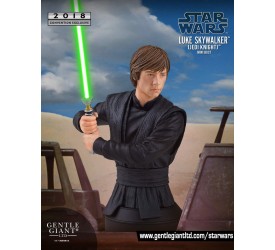 Star Wars RotJ Luke Skywalker Mini Bust 2018 SDCC Exclusive
