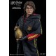 Harry Potter My Favourite Movie Action Figure 1/6 Harry Potter Triwizard Tournament Version 29 cm