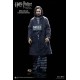 Harry Potter My Favourite Movie Action Figure 1/6 Sirius Black Prisoner Version 30 cm