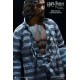 Harry Potter My Favourite Movie Action Figure 1/6 Sirius Black Prisoner Version 30 cm