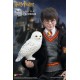 Harry Potter 1/6 action figure with costume 26 cm