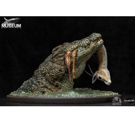 Museum Series Crocodylus Niloticus 1/24 Scale Diorama