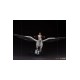 Harry Potter Deluxe Art Scale Statue 1/10 Harry Potter and Buckbeak 30 cm