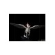 Harry Potter Deluxe Art Scale Statue 1/10 Harry Potter and Buckbeak 30 cm