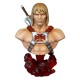 Masters of the Universe Bust He-Man 20 cm