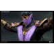 Mortal Kombat 9 Premium Format Statue Rain 49 cm