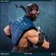 Mortal Kombat X Statue 1/4 Sub-Zero 54 cm