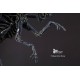 Aliens Queen 1/4 scale Statue Matrix Studio 107 cm