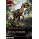 Jurassic Park Statue 1/6 Velociraptor 41 cm