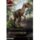 Jurassic Park Statue 1/6 Velociraptor Closed Mouth Ver. 41 cm