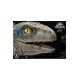 Jurassic World: Fallen Kingdom Prime Collectibles Statue 1/2 Baby Blue 34 cm