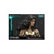 Injustice 2 Statue 1/4 Wonder Woman Deluxe Version 52 cm