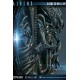 Aliens 3D Wall Art 50 CM