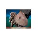 Berserk Statue 1/4 Skull Knight White Bone Variant 81 cm