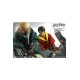 Harry Potter Action Figure 1/6 2-Pack Harry Potter & Draco Malfoy 2.0 Quidditch Version 26 cm