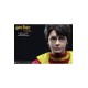 Harry Potter My Favourite Movie Action Figure 1/6 Harry Potter Quidditch Version 26 cm