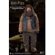 Harry Potter My Favourite Movie Action Figure 1/6 Rubeus Hagrid 2.0 40 cm