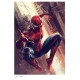 Marvel Art Print The Amazing Spider-Man 46 x 61 cm unframed