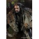 The Hobbit Action Figure 1/6 Thorin Oakenshield 25 cm