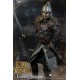 Lord of the Rings Action Figure 1/6 Eomer 30 cm
