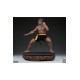 Jean-Claude Van Damme Statue 1/3 Jean-Claude Van Damme: Shotokan Tribute 57 cm