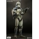 Star Wars Action Figure 1/6 Wolfpack Clone Trooper 104th Battalion 30 cm