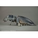 Starship Troopers Tanker Bug Maquette Standard Edition