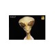 Mantis Overseer Life-Size Bust by Steve Wang 63 cm