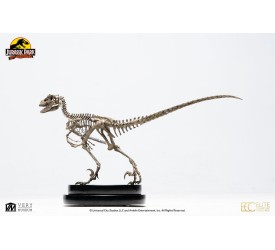 Jurassic Park: Velociraptor Skeleton Bronze 1:8 Scale Statue