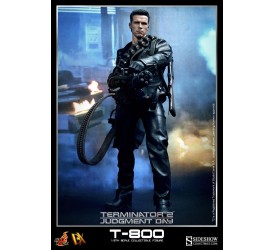 Terminator 2 MMS DX Action Figure 1/6 T-800 32 cm