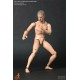 True Type Figure Body Action Figure 1/6 Caucasian Blonde Narrow Shoulder Version 30 cm